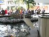 PICT0009.JPG